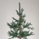 ΔΕΝΤΡΟ ΔΑΝΙΑ, PE KAI PVC, ΜΕ ΞΥΛΙΝΟ ΚΟΡΜΟ ΣΤΗ ΒΑΣΗ, 210cm