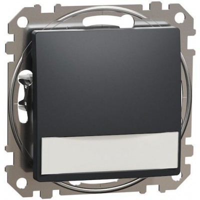 Μπουτόν Μονό 10A/12V Φωτεινό Επιγραφής Ανθρακί IP20
