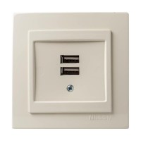 Μπέζ πρίζα USB διπλή - 24121081