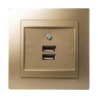 Σατινέ πρίζα USB διπλή - 24151081