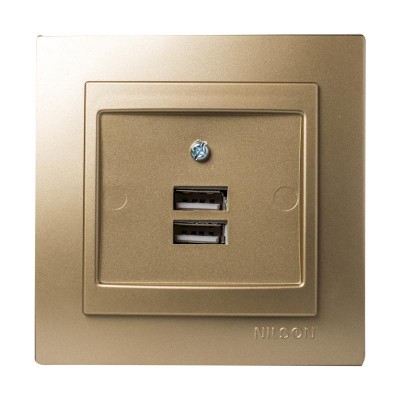 Σατινέ πρίζα USB διπλή - 24151081