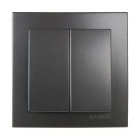 Ανθρακί διακόπτης Κ-Ρ - 24161003