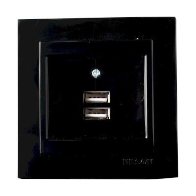 Μαύρη πρίζα USB διπλή - 24221081