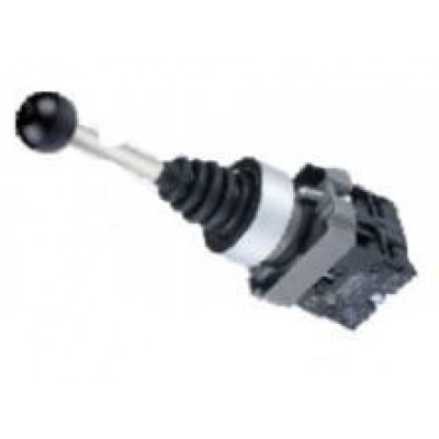 JOY STICK 2 ΘΕΣΕΩΝ LAY5-BMR212