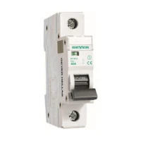 Διακόπτης ράγας 1P 63A - ES163A